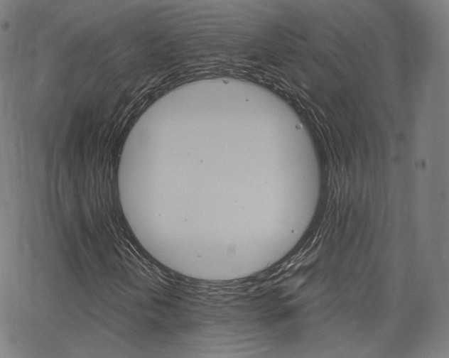 X0000063461202200601200921