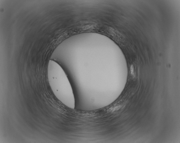 X0000063461203200601200921