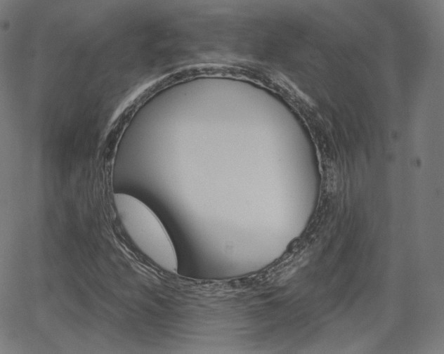 X0000063461208200601200921