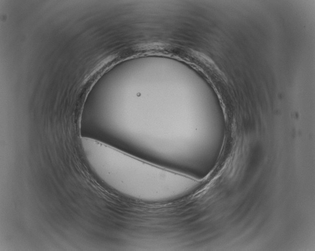 X0000063461209200601200921