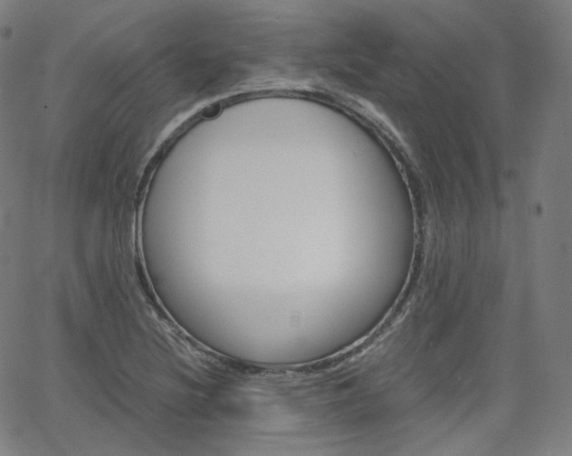 X0000063461220200601200922
