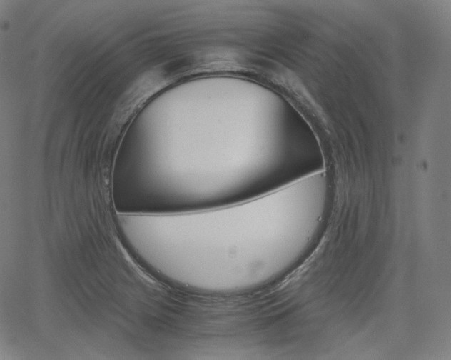 X0000063461225200601200922