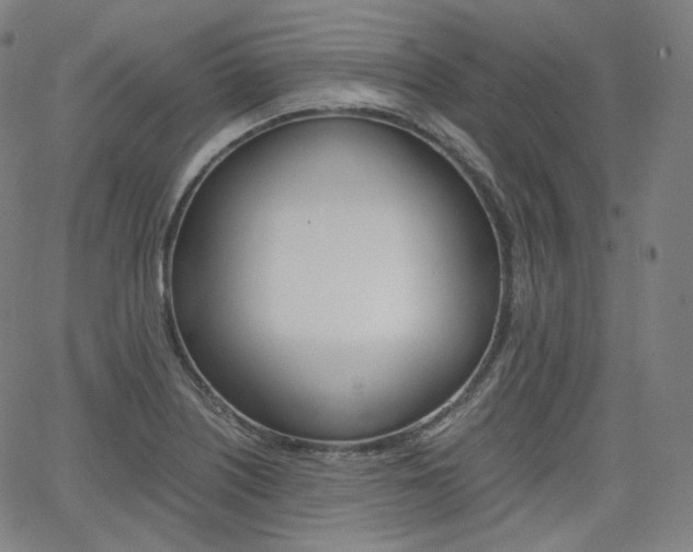 X0000063461226200601200922
