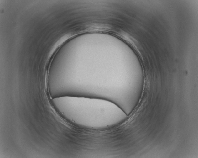 X0000063461227200601200922