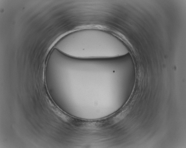 X0000063461228200601200922