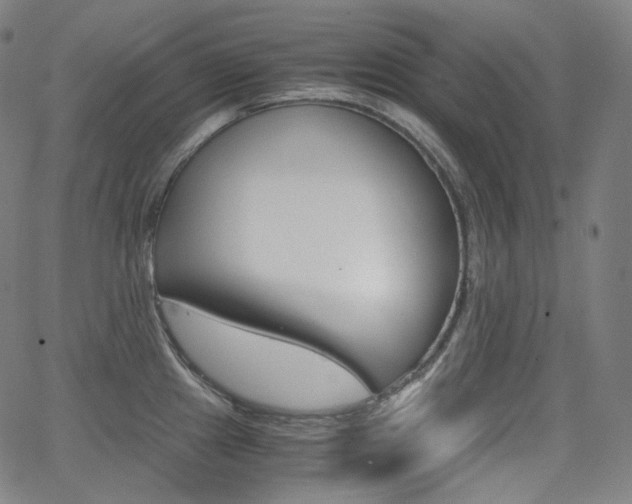 X0000063461241200601200922