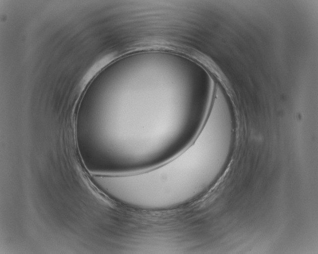 X0000063461242200601200922