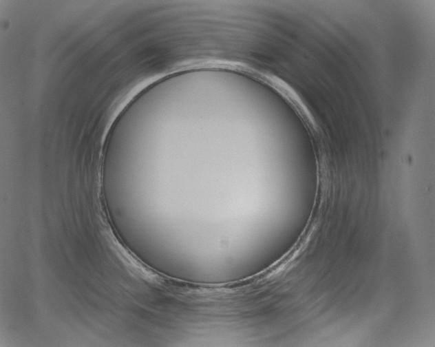 X0000063461244200601200922