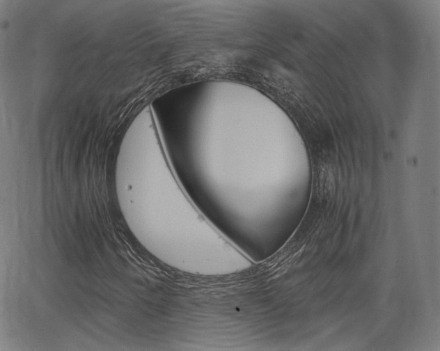 X0000063461250200601200921