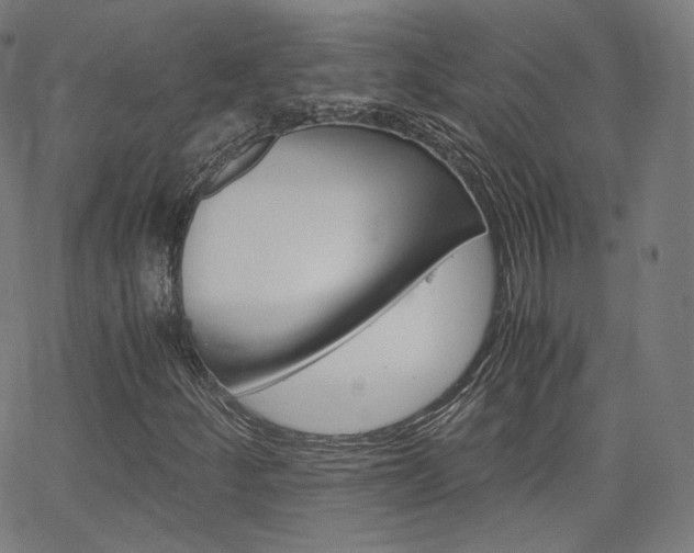 X0000063461252200601200921