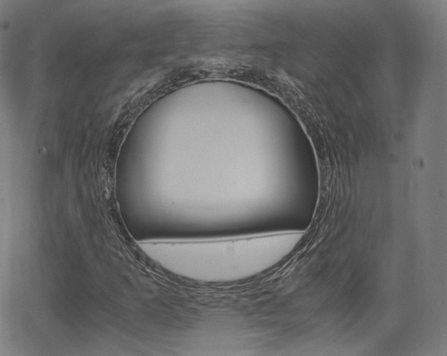 X0000063461253200601200921