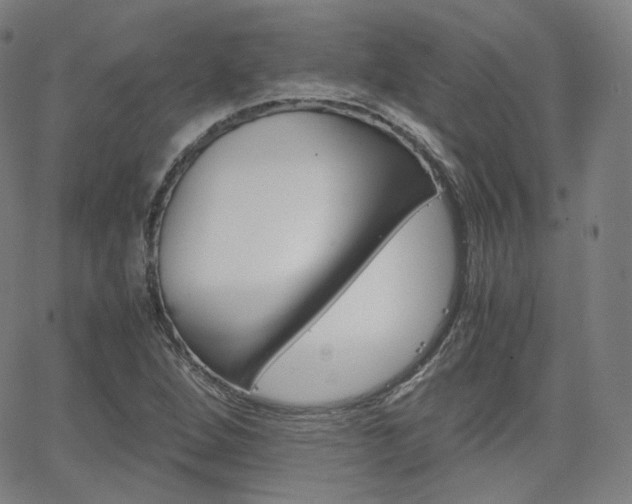 X0000063461264200601200921