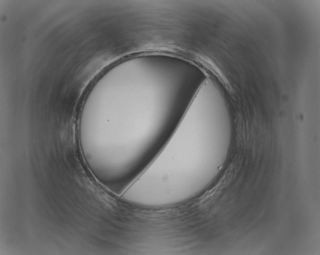 X0000063461268200601200921