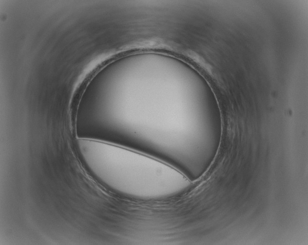 X0000063461270200601200921