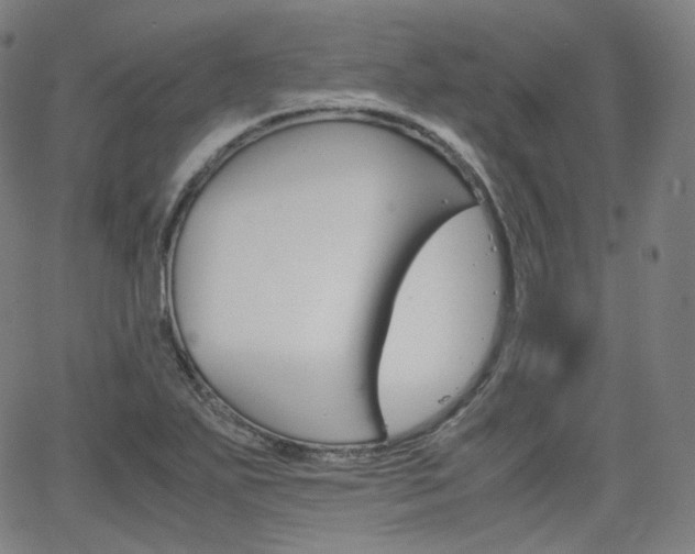 X0000063461271200601200921
