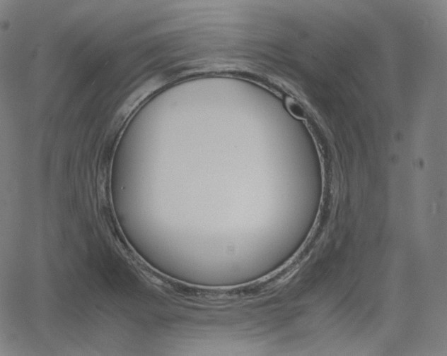 X0000063461273200601200921