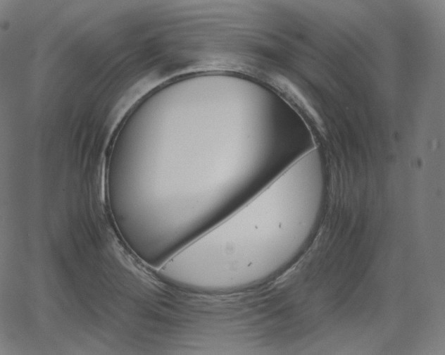 X0000063461276200601200921