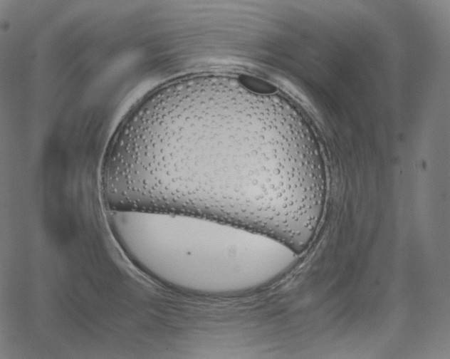 X0000063461283200601200921