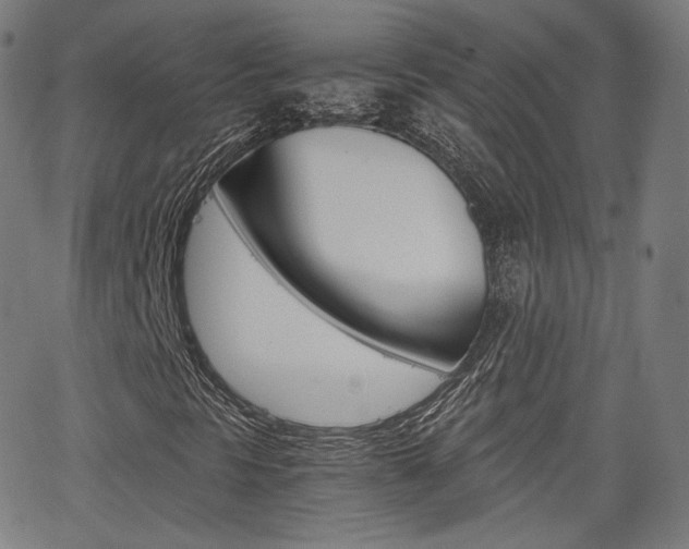 X0000063461297200601200920