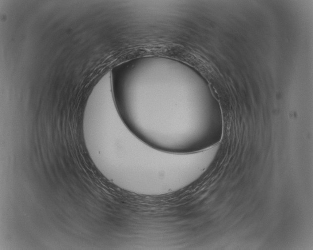 X0000063461298200601200920