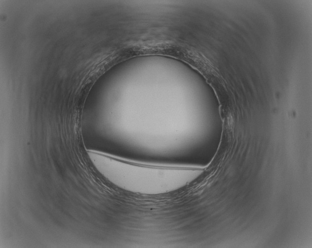 X0000063461300200601200920