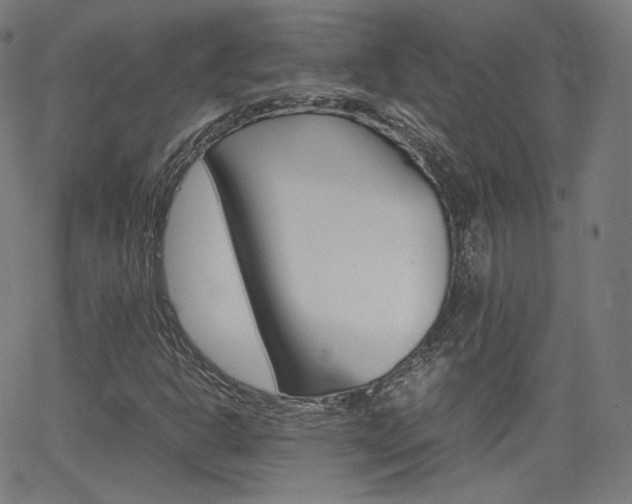 X0000063461302200601200920