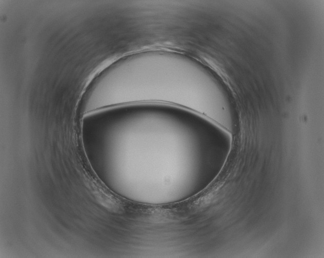 X0000063461308200601200920