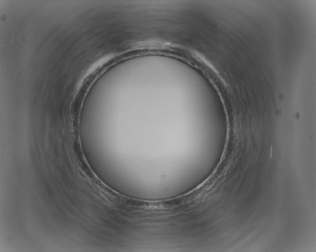 X0000063461315200601200920