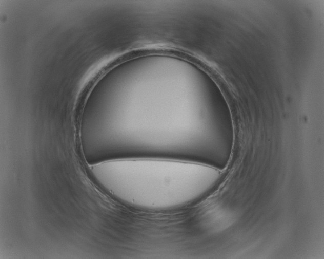 X0000063461319200601200920