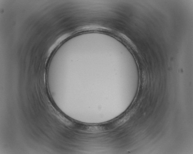 X0000063461322200601200920