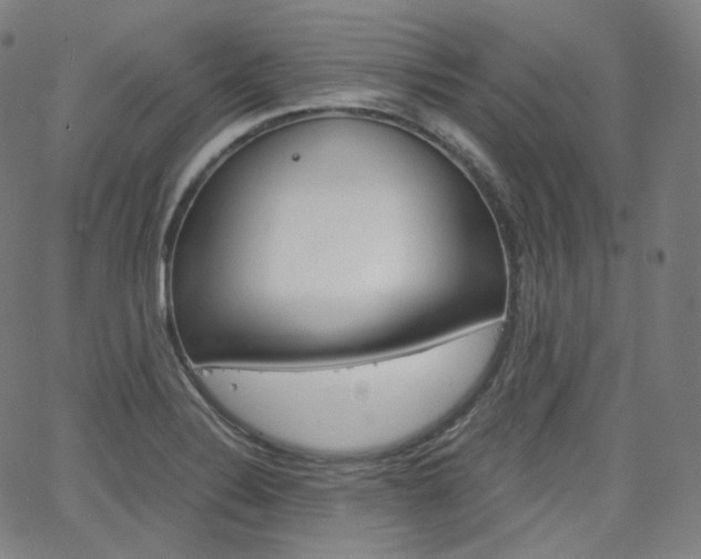 X0000063461324200601200920