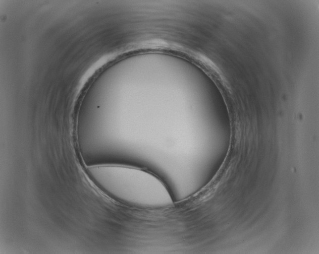 X0000063461326200601200920