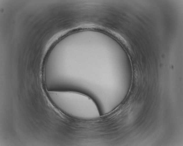 X0000063461327200601200920