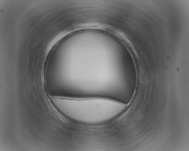 X0000063461328200601200920