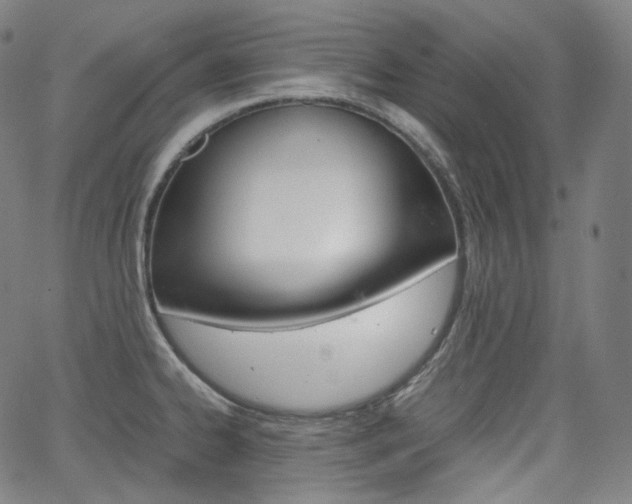 X0000063461334200601200920
