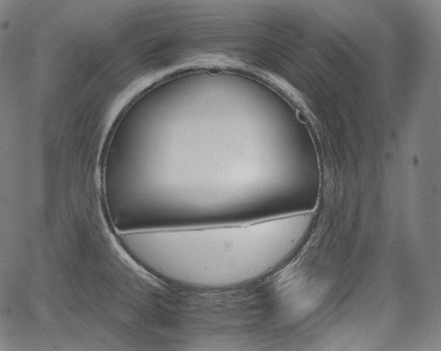 X0000063461335200601200920