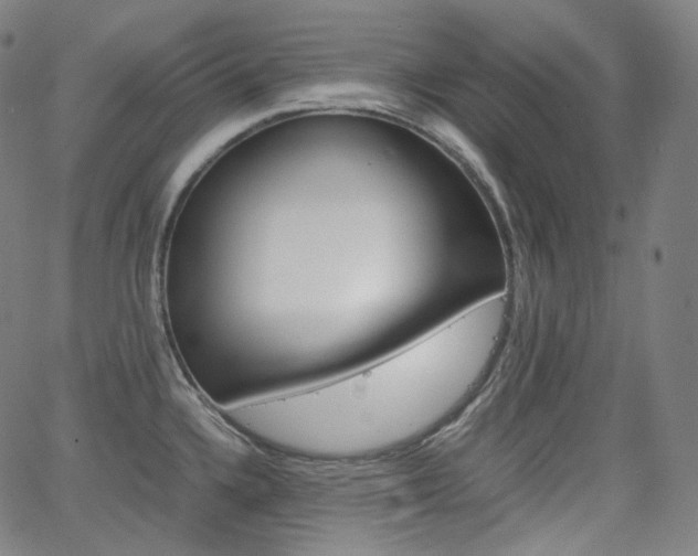 X0000063461336200601200920