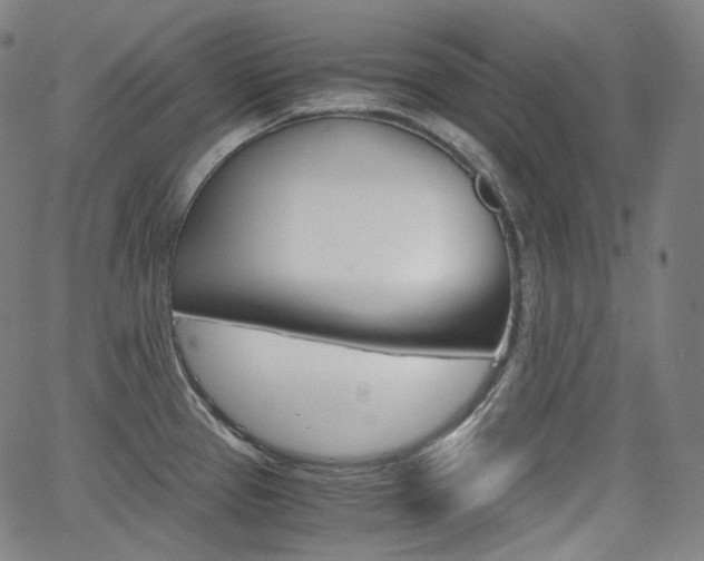 X0000063461337200601200920