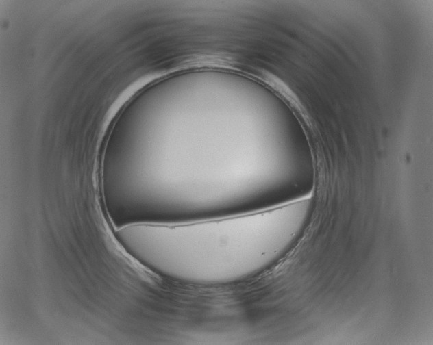 X0000063461339200601200920