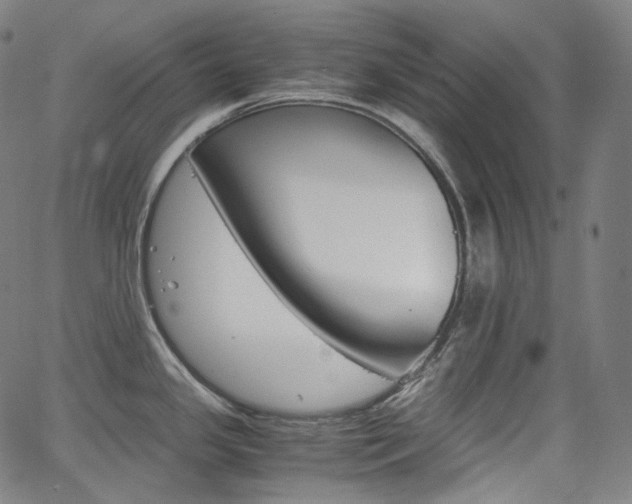 X0000063461341200601200920