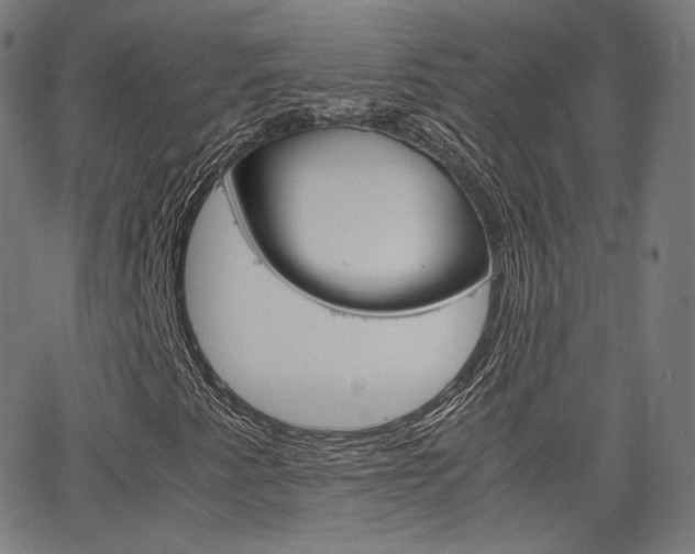 X0000063461345200601200920