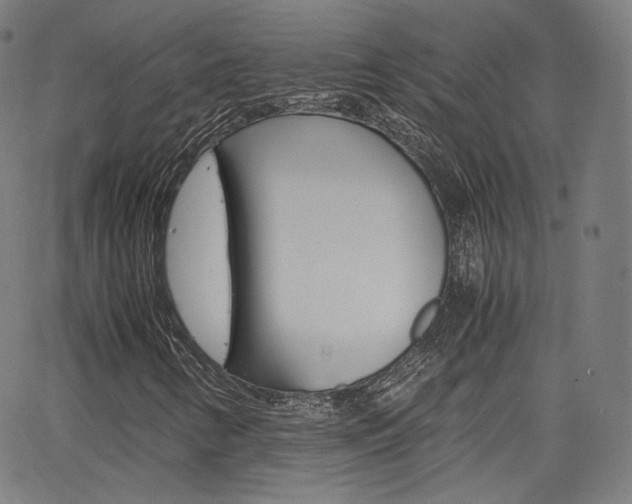 X0000063461346200601200920