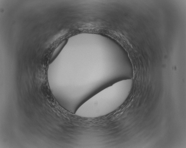 X0000063461350200601200920