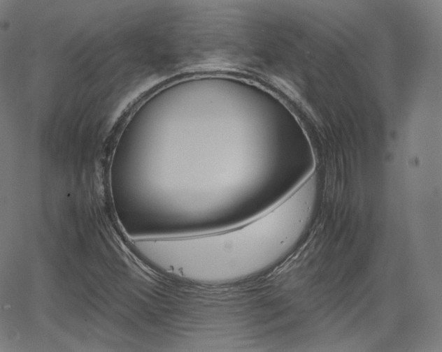 X0000063461356200601200920