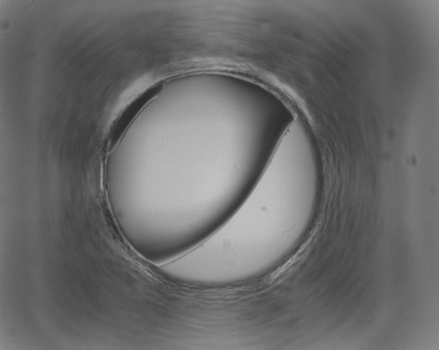 X0000063461365200601200919