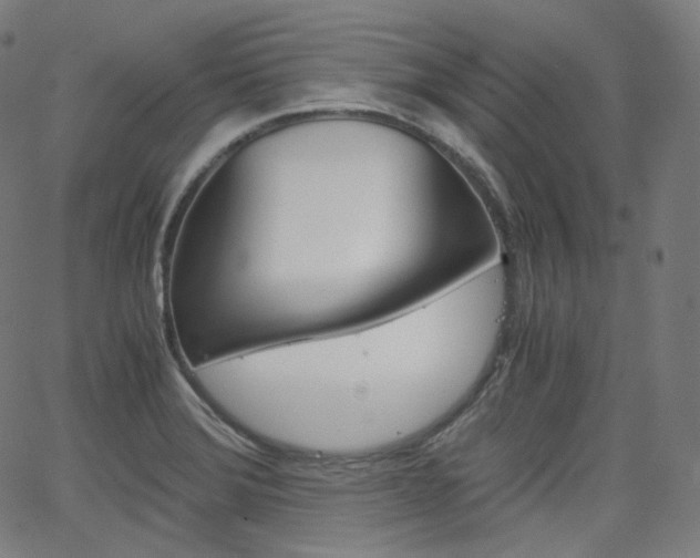 X0000063461372200601200919