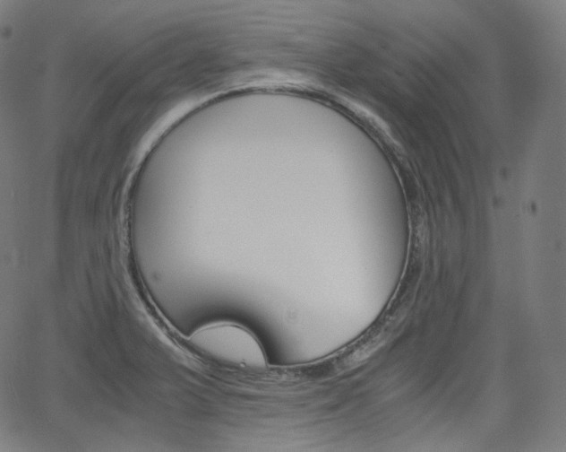 X0000063461375200601200919