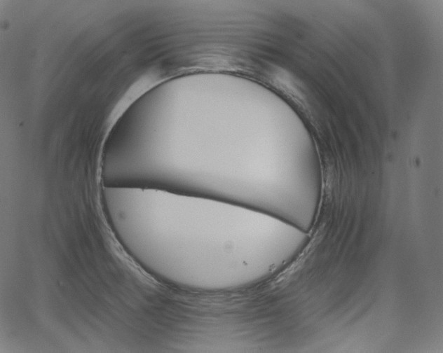 X0000063461378200601200919