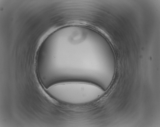 X0000063461379200601200919