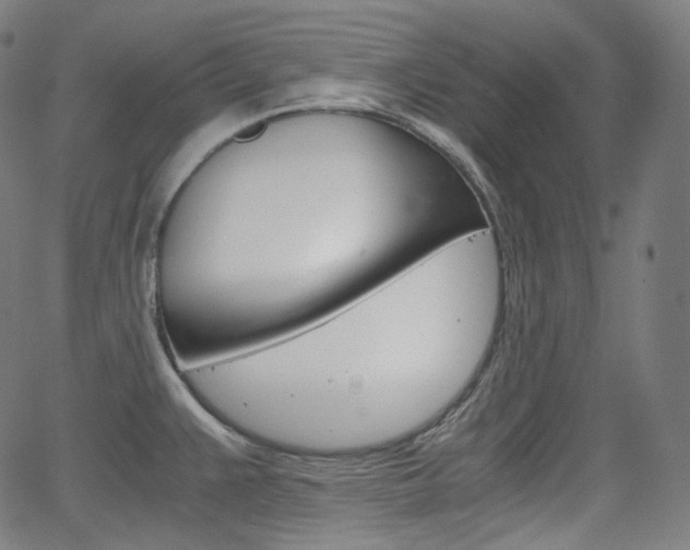 X0000063461383200601200919